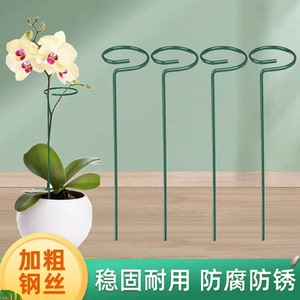 加粗钢丝花架蝴蝶兰支撑架稳固耐用防腐防锈DIY园艺铁艺多功能