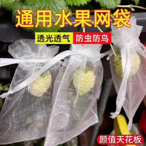 水果套袋防鸟防虫专用无纺布袋葡萄无花果枇杷芒果袋草莓保护袋子