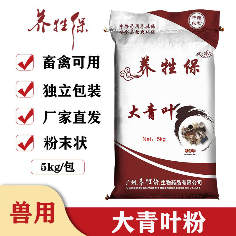 养牲保兽用大青叶粉纯粉