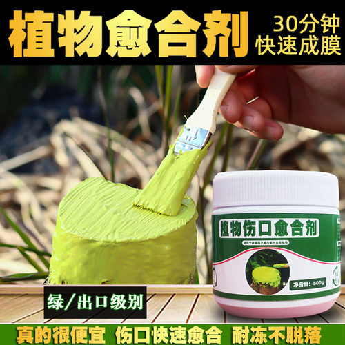 植物伤口愈合剂大树创口修复膏