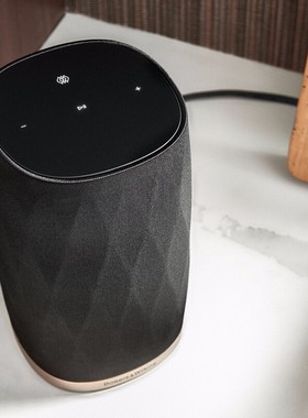 Bowers & Wilkins/宝华韦健 Formation Flex无线蓝牙音箱音响