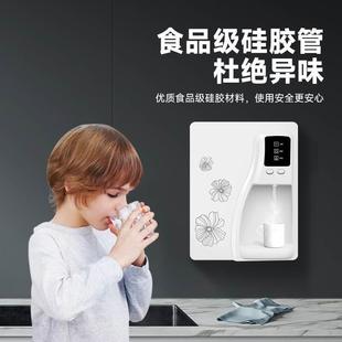 管线机饮水机净水器加热器纯水机伴侣家用净水机专 防干烧壁挂式