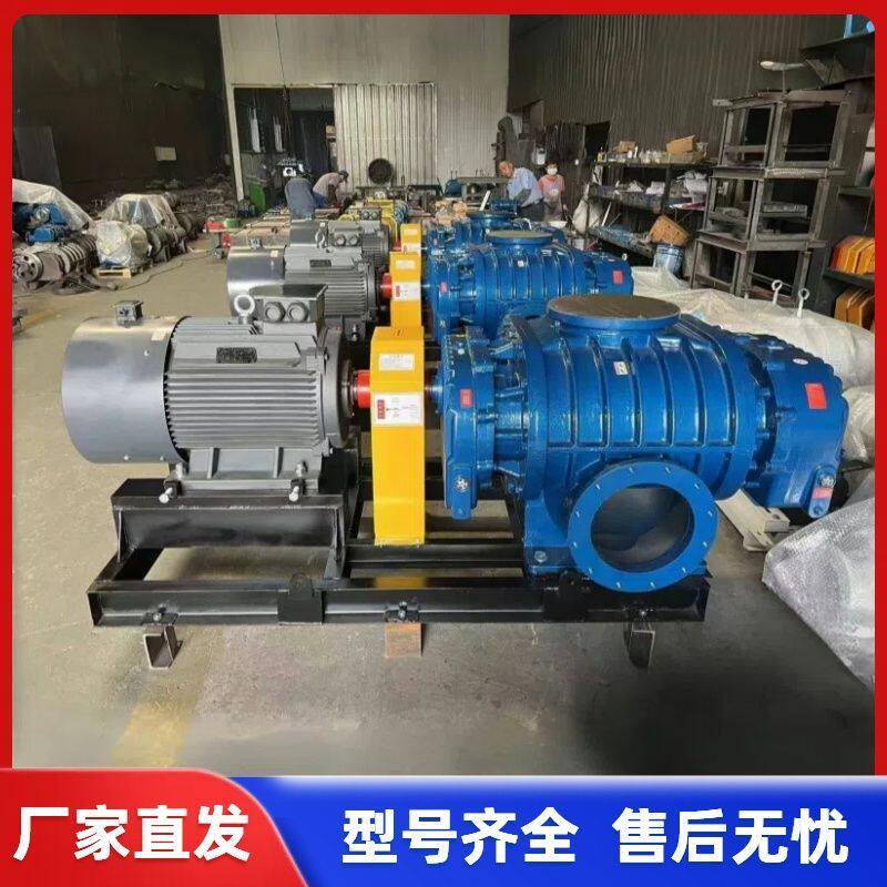 直联罗茨鼓新款水产污水处理曝气气力输送高压底部罗茨鼓风机变频
