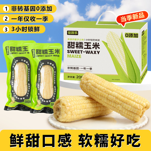 佳蔬乐甜糯玉米新鲜现摘真空包装 内蒙古黏玉米非转基因