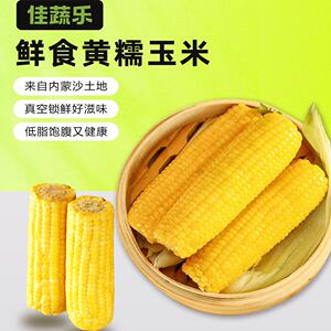 佳蔬乐低脂黄糯玉米新鲜现摘真空包装 内蒙古黏玉米非转基因十根