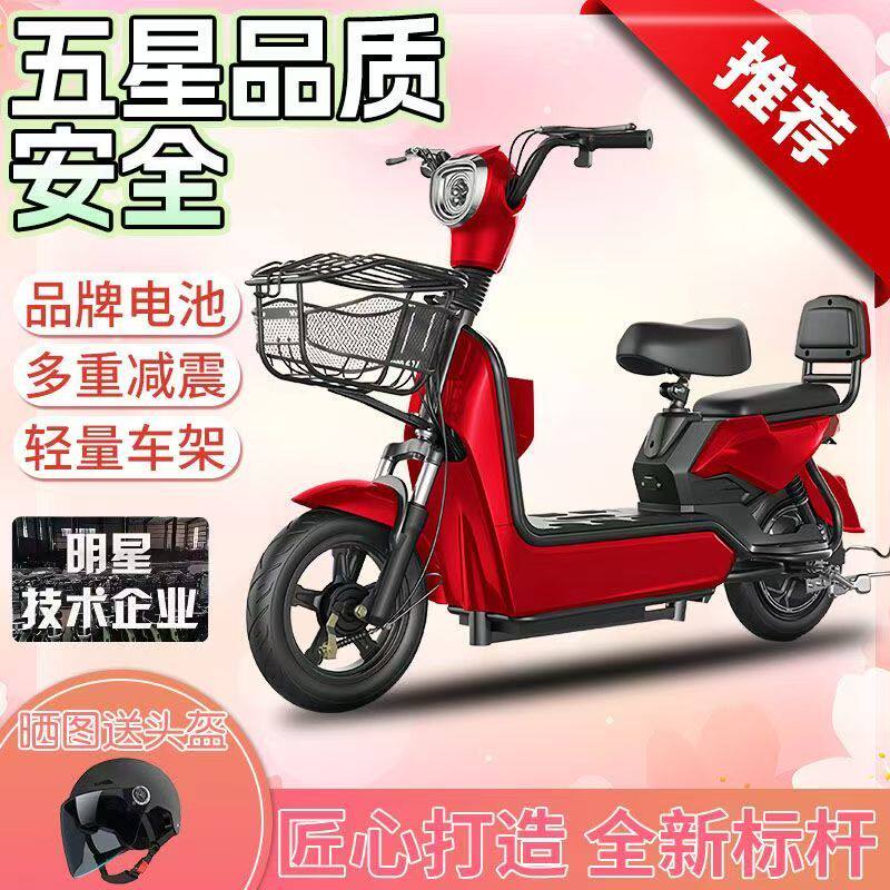 新金鹰款可上牌电动自行车两轮电电动自行车