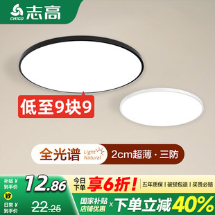 2025新款 阳台照明专用厨房吊顶入户灯过道玄关厕所卫生间衣帽间灯