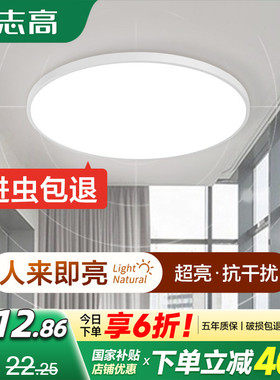 雷达自动人体感应小尺寸吸顶灯走廊声光控楼道过道楼梯入户声控灯