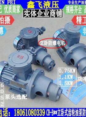 CB-B16JZ B20JZ B25JZ B32JZ立卧式齿轮油泵防爆电机组装置