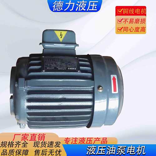 液压电机 内轴内插油压电动机 1HP0. 75KW 1.5KW 2.2KW 4KW 5.5KW