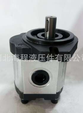 HGP CI34K-A02-097R 液压泵 出口专用 3/4