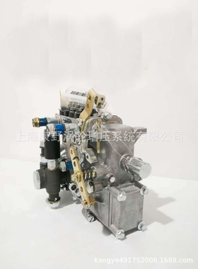 喷油泵4QTD482 4QTD483和4QT566BC和4QD431和4QD431T和4QT257bz-1
