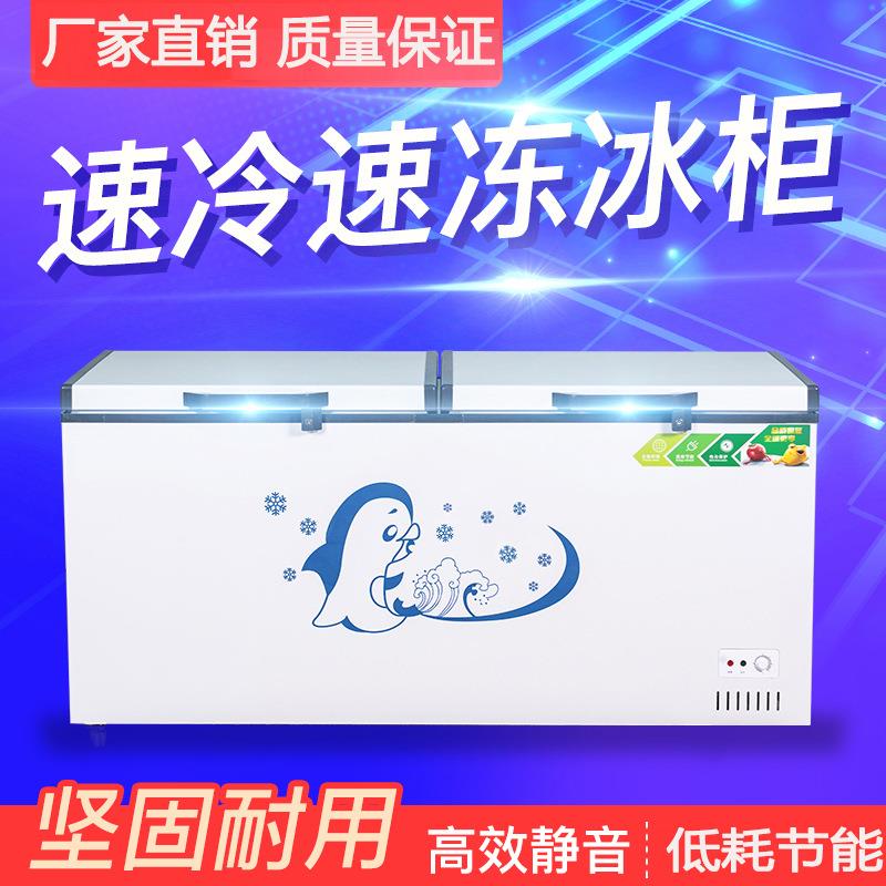 冰柜商用大容量冷柜速冻冷藏冷冻单双温卧式大型冷冻柜冻肉柜