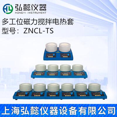 ZNCL-TS两联四联六联磁力搅拌电热套智能恒温转速数显烧瓶蒸馏器