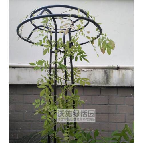 新品蘑菇爬藤架园艺花架庭院花园伞型攀爬月季花架铁线莲铁艺
