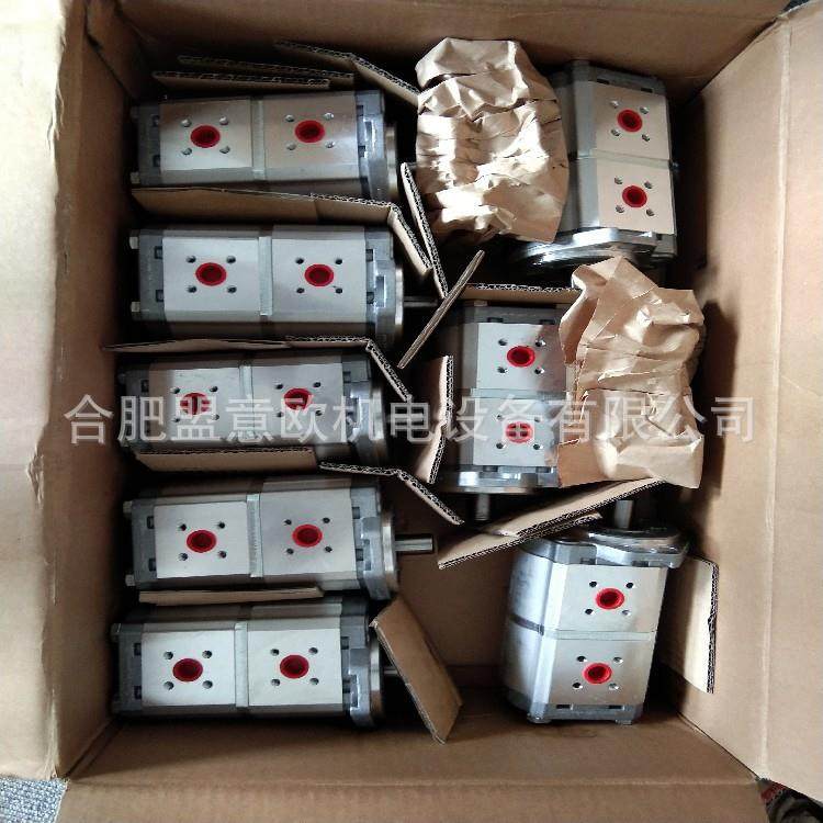 德国汉德HALDEX齿轮泵，马达，电机，泵