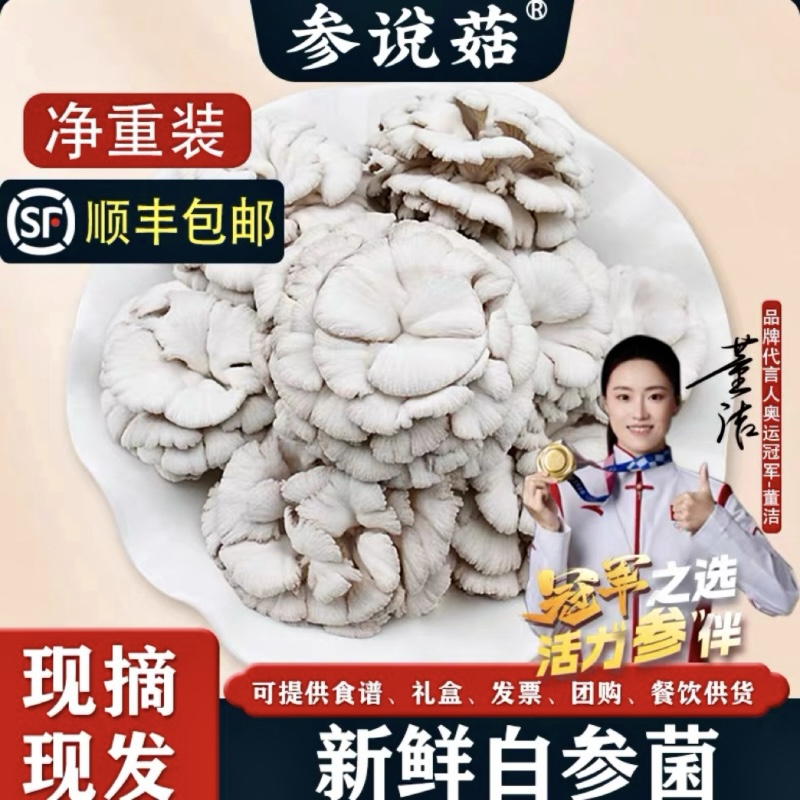 【顺丰发货】参说菇精选新鲜白参菌鲜菇现摘现发绿色食品产地直发