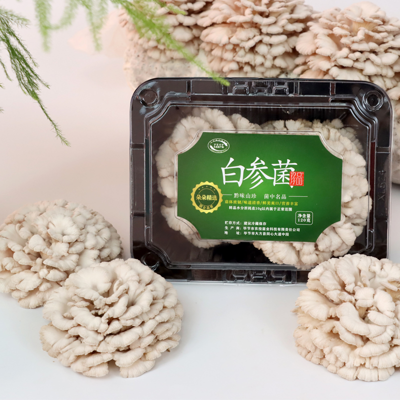 【顺丰发货】 参说菇精选新鲜白参菌现摘现发原产地直销120g/盒