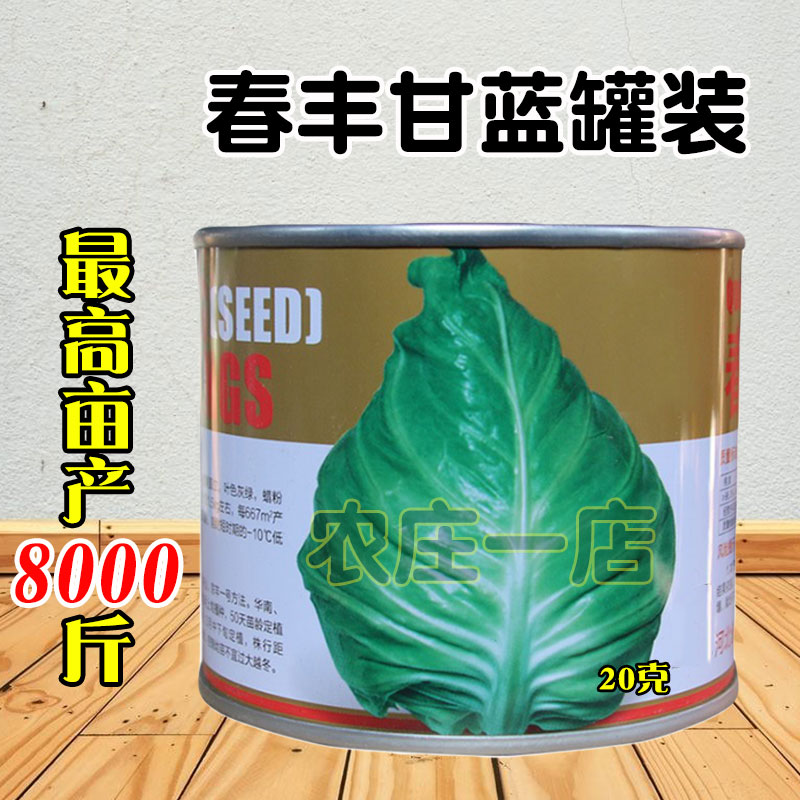 春丰甘蓝一代杂交种孑卷心心包种菜牛籽甘蓝子亩产8000斤耐寒基地 户外/登山/野营/旅行用品 活饵/谷麦饵等饵料 原图主图