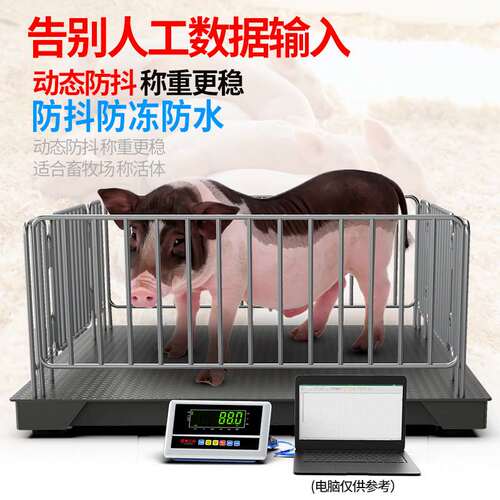 RS232串口重量数据传输电子地磅 USB接口计重平台秤 工业仓库秤