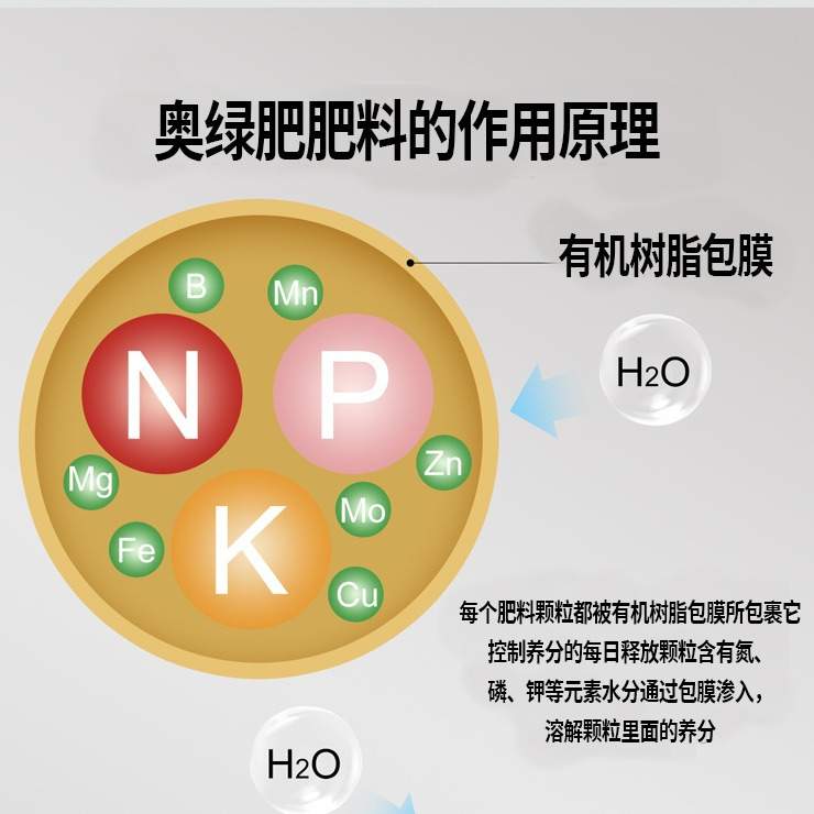 原装进口奥绿肥318s控释肥15-9-11+2MgO肥效期8至9个月缓释肥料
