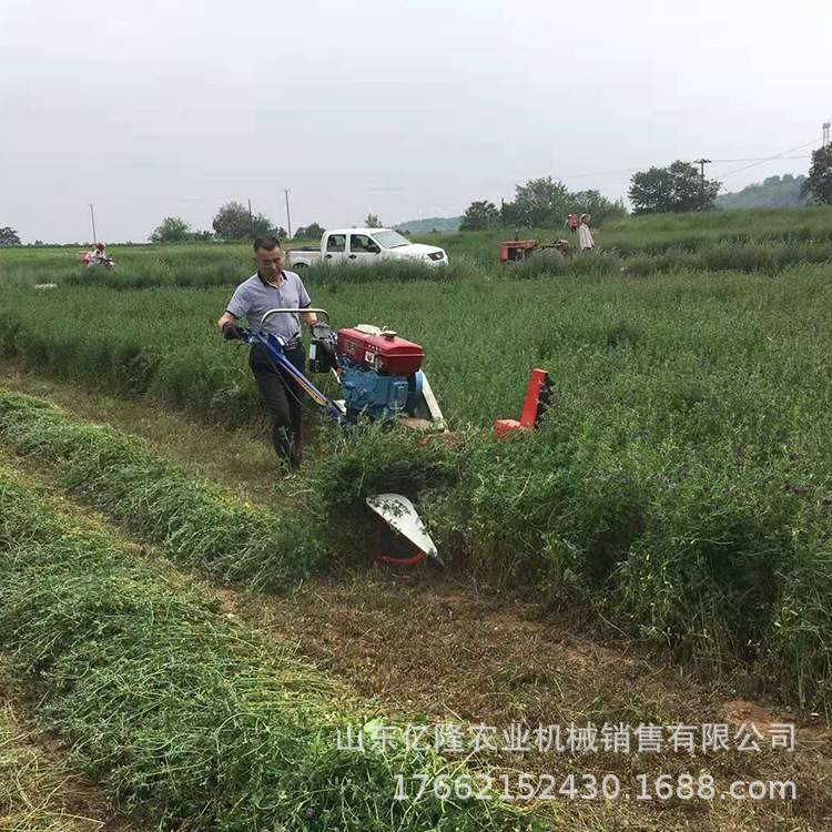 辣椒黄豆收割晾晒机 夏枯草黑麦草割倒机 荞麦油菜割晒机