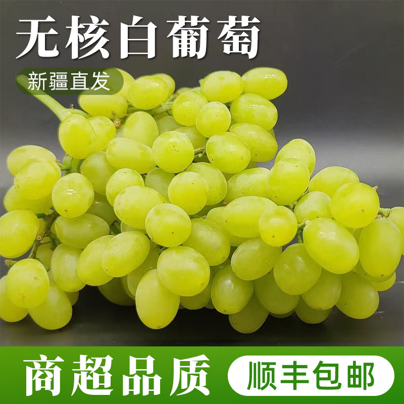 新疆无核白葡萄新鲜应季水果无籽青提提子脆甜整箱顺丰包邮