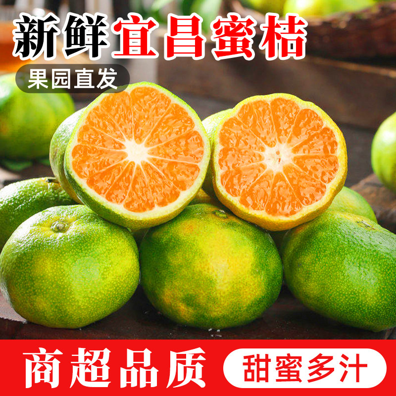 湖北宜昌现摘现发甜蜜多汁蜜桔