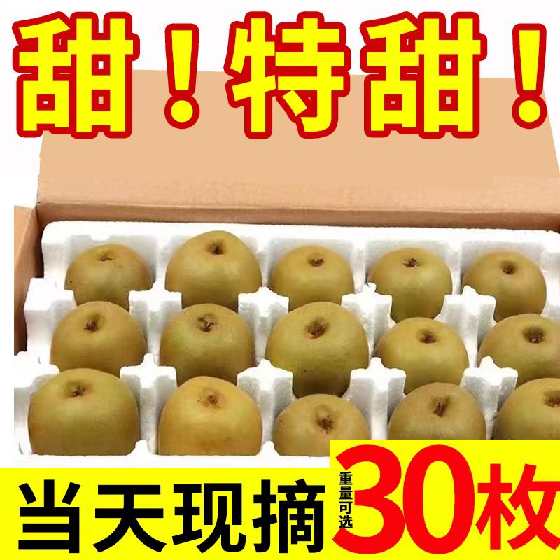 四川红心猕猴桃奇异果