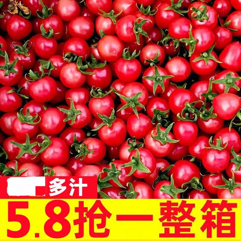 广西千禧樱桃小番茄千禧果小西红柿圣女果5斤千禧小番茄新鲜水果