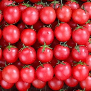 圣女果千禧小番茄新鲜樱桃小西红柿蔬菜孕妇水果现摘现发5斤包邮