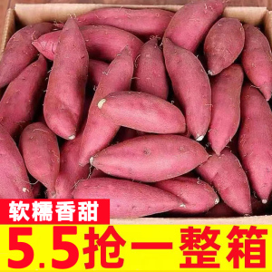 西瓜红蜜薯10斤新鲜糖心板栗番薯应当季农家沙地六鳌蜜薯地瓜烟薯