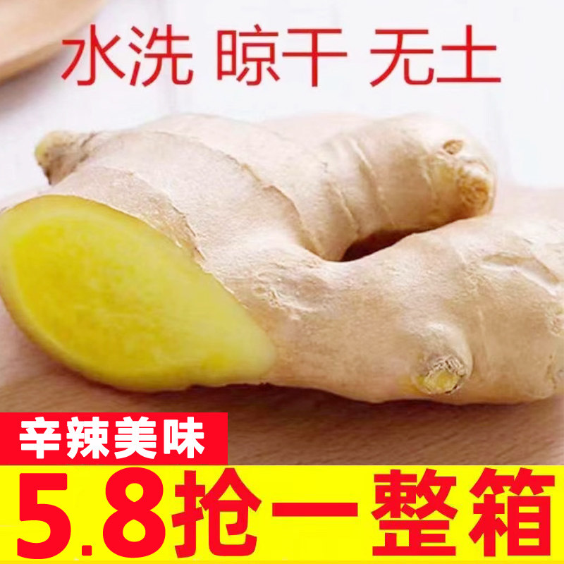 山东老姜10斤大黄姜月子姜