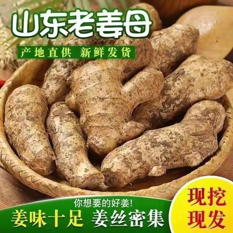 5斤装生姜月子姜老姜现挖