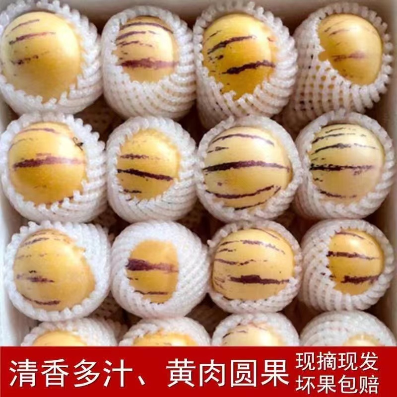 云南人参果水果小果黄肉新鲜