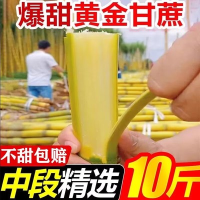 正宗黄金甘蔗黄皮脆甜新鲜