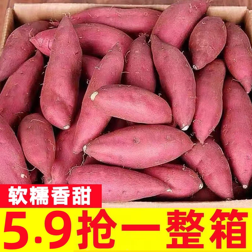 西瓜红蜜薯10斤新鲜糖心