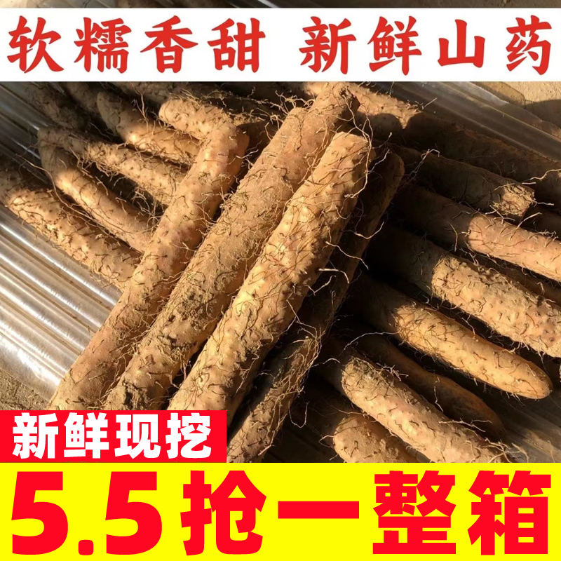 铁棍山药淮山河南焦作温县铁杆山药怀山药新鲜山药5斤装小白嘴