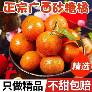 广东正宗四会沙糖桔新鲜无籽砂糖橘9斤湿蒜当季水果橘子