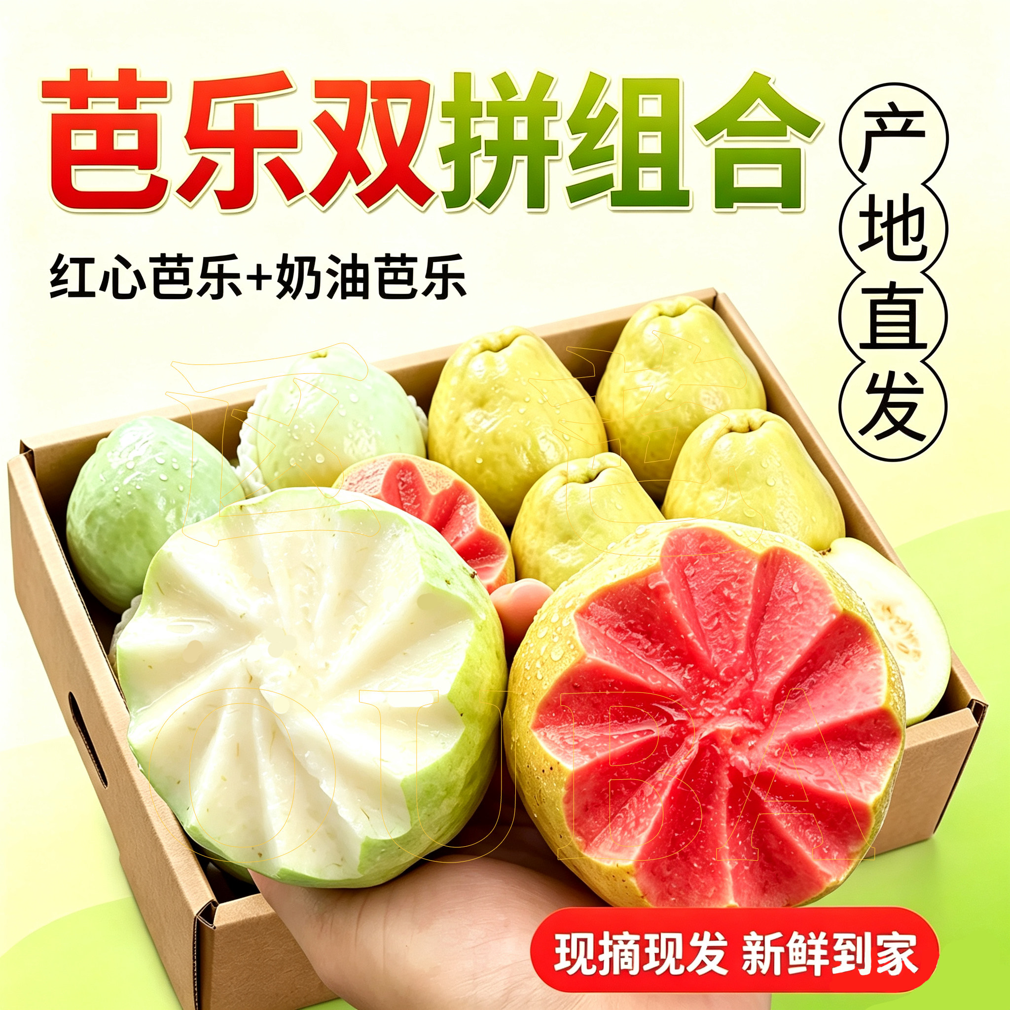 控糖维C营养高酸甜开胃解腻芭乐