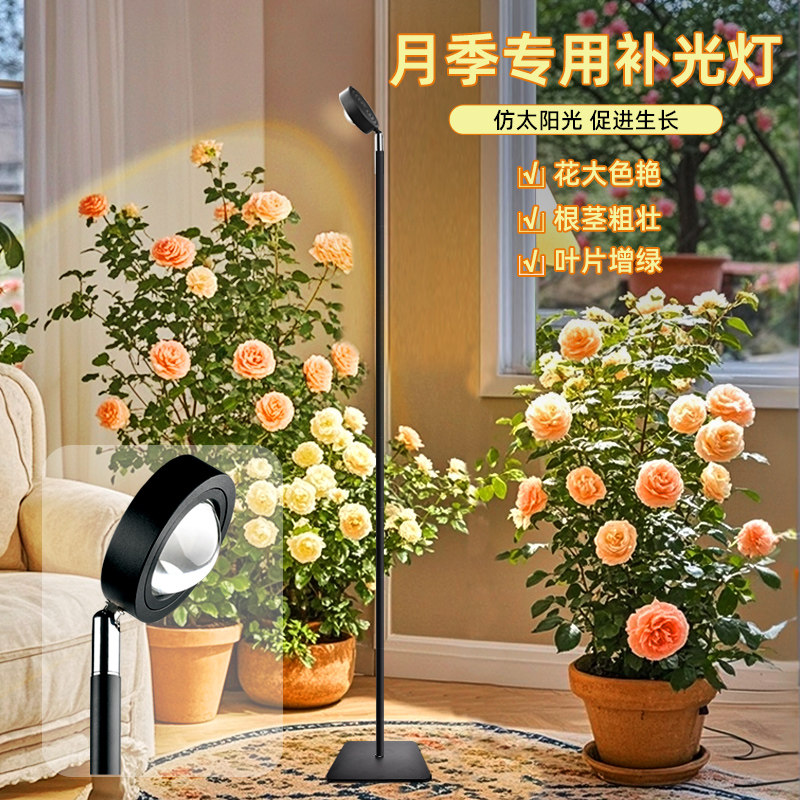 月季专用补光灯全光谱仿阳光灯太阳光花卉育苗室内多肉植物补光灯