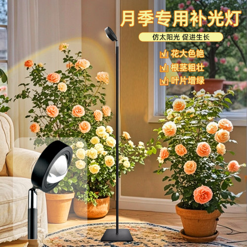 月季专用补光灯全光谱仿阳光灯太阳光花卉育苗室内多肉植物补光灯