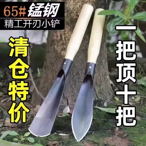 种花菜锰钢小铲子挖野菜