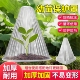 育苗保护罩加厚幼苗植物钟罩大棚菜苗霜冻大号保护防虫罩育苗神器