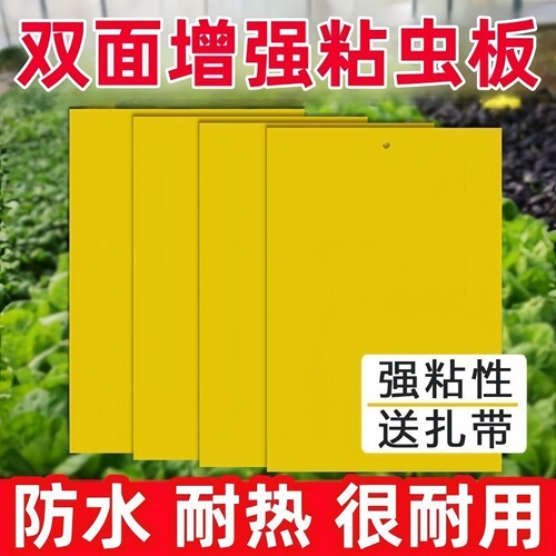 双面粘虫黄板诱虫板物理灭虫