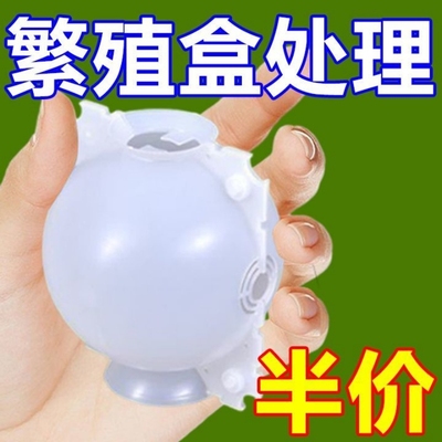 植物高压嫁接繁殖盒育苗加厚嫁接