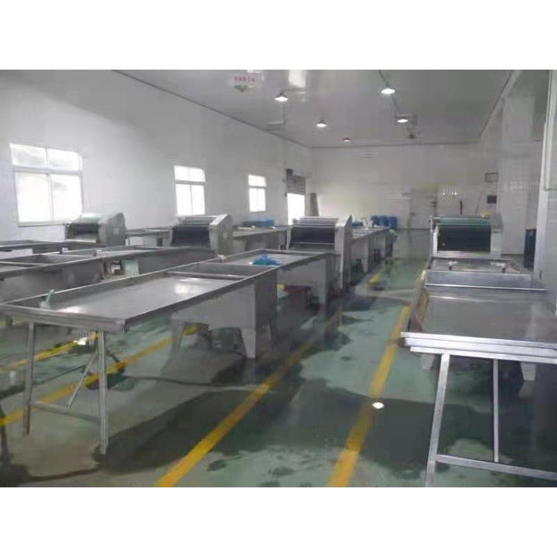 鸿鑫50肠衣清洗机 肝素肠提设取备中药提取7设备成498套刮机台板