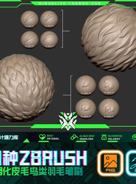 YM9-14种ZBRUSH卡通风格化皮毛鸟类羽毛Alpha笔刷ZBP雕刻笔刷资源