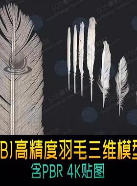 3dmax maya c4d7个高精度羽毛三维3D模型 含PBR 4K贴图OBJ 模板