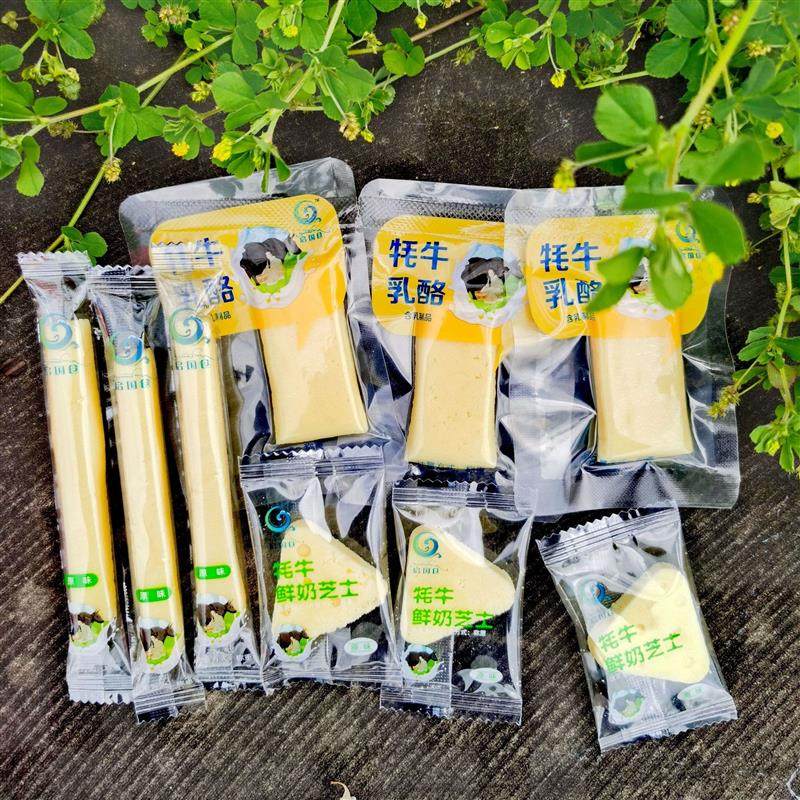 九寨沟特产启国仓牦牛鲜奶三角芝士奶酪奶条散装称重500克包邮